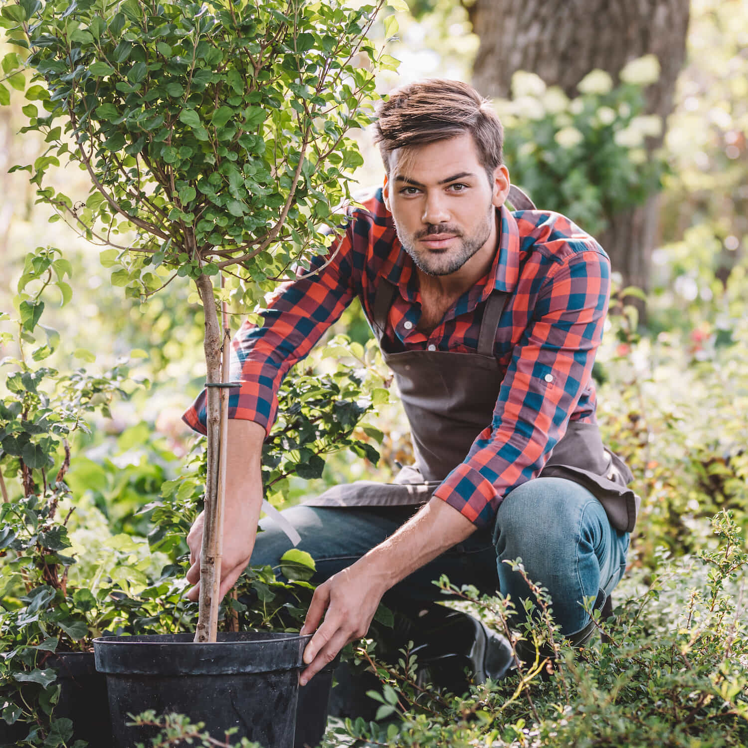 community-gardener-planting-tree community-gardener-planting-tree
