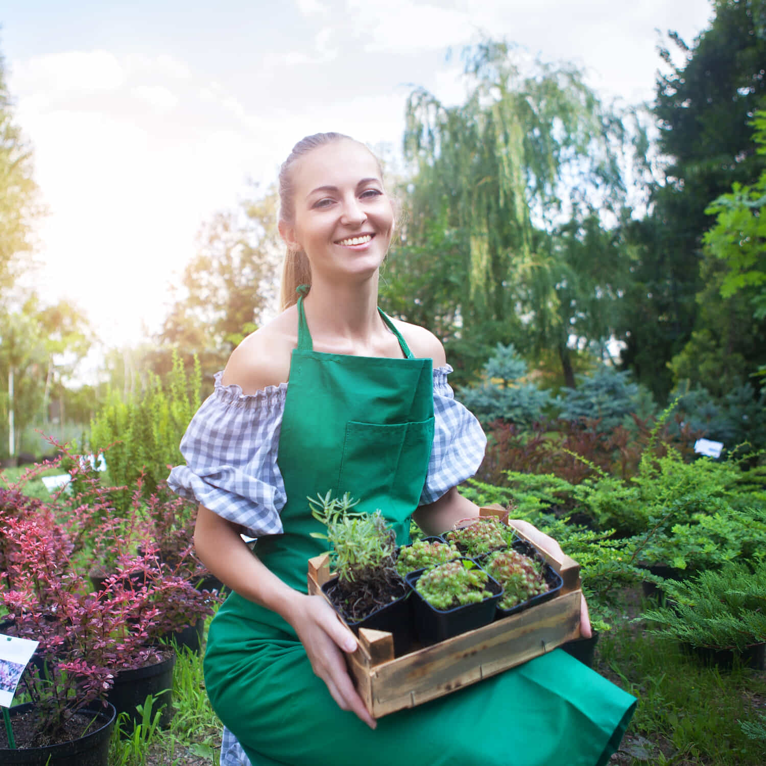 community-worker-holding-plants community-worker-holding-plants